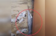 «Примерз матрас к стене»: Жители Уфы жалуются на пронизывающий холод в квартирах
