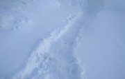 В Уфе под снежной массой просела крыша спортивной школы