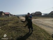 В Башкирии спасатели вытащили из трехметровой ямы бездомную собаку
