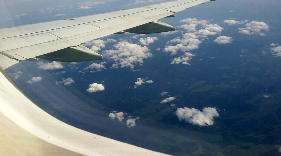 Самолет Москва-Уфа совершил экстренную посадку из-за птицы