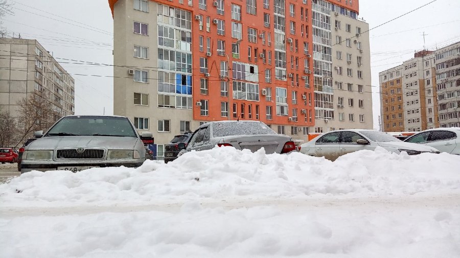 Сергею Грекову подарили «золотую лопату» за уборку улиц от снега