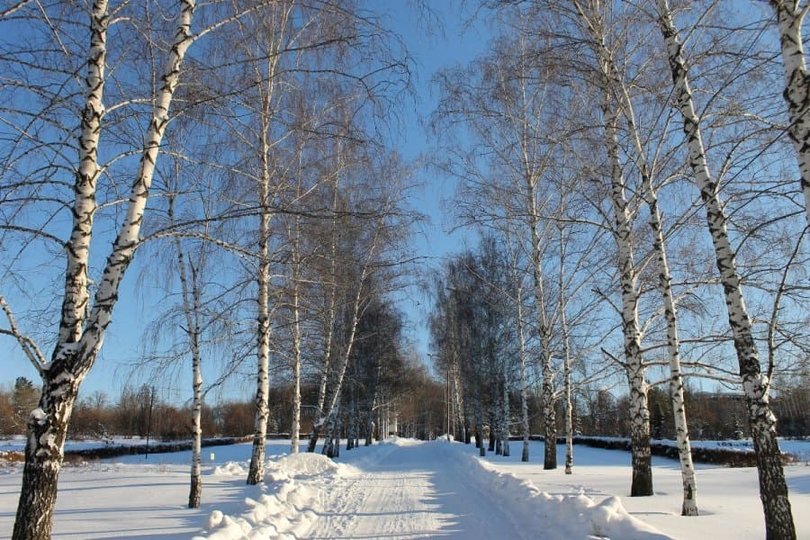 Синоптики рассказали о погоде в Башкирии 8 декабря