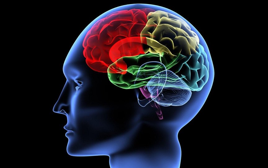 Ученые обнаружили «центр пессимизма» в мозге человека