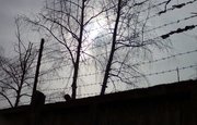 В Башкирии заключённому добавили срок за повреждение пальца сотруднику колонии