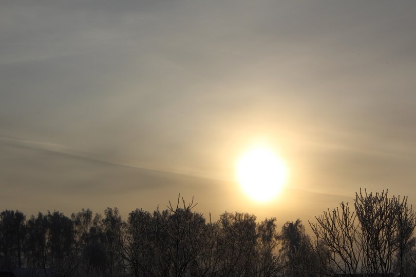 Российский климатолог предсказала опасные последствия малоснежной зимы