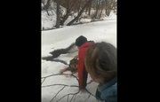 В Башкирии пес провалился под лед