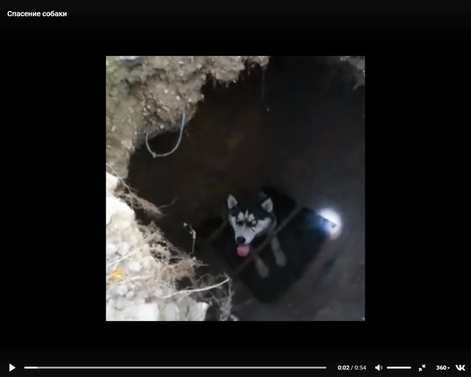В Уфе спасатели вытащили застрявшую в яме собаку