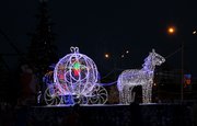 «Новогодние визы» для иностранцев предложили в России
