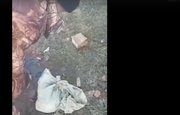 В Башкирии живодеры засунули щенка в туго завязанный мешок и бросили на свалке
