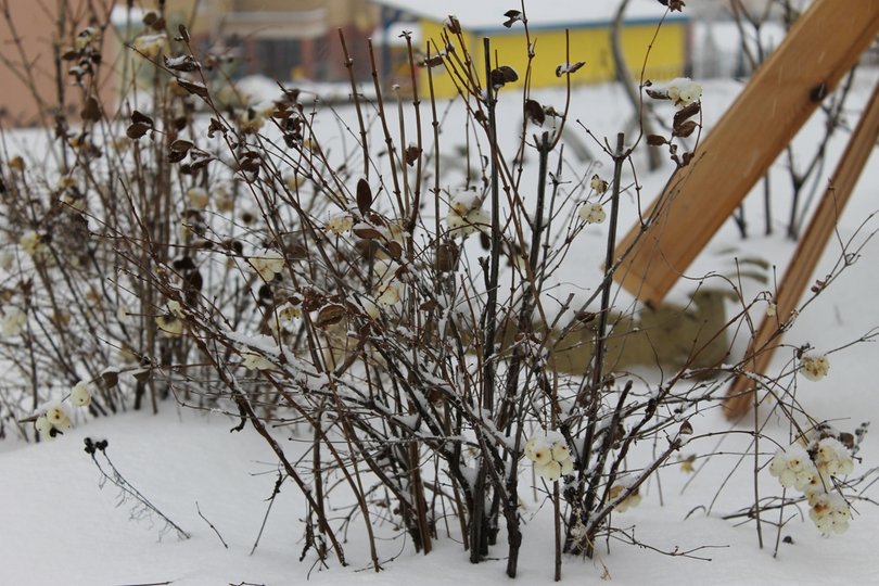 Районы Уфы отчитываются о работе «Снежной почты»