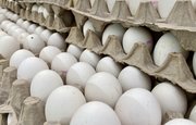 В Башкирии начали снижать цены на яйца, капусту и сахар