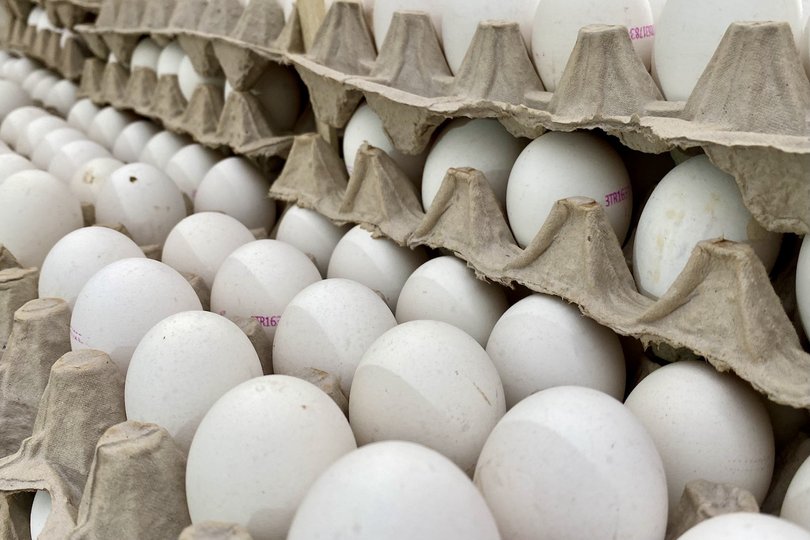 В Башкирии начали снижать цены на яйца, капусту и сахар