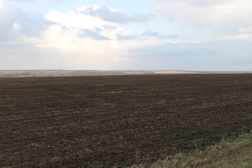 Башкирия выделяет 150 млн рублей на субсидирование банковской ставки для аграриев