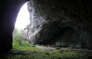 Пещеру Шульган-Таш очистят от современных граффити