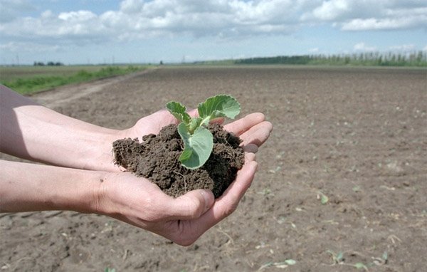 В Башкирии озаботились деградацией почвы