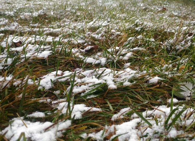 Скоро в Башкирии образуется первый снежный покров