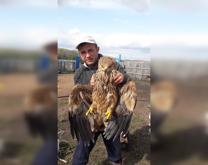В Башкирии семейная пара спасла раненого орла