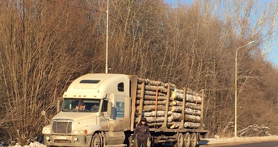В Уфе задержали водителя грузовика, перевозившего стволы срубленных деревьев
