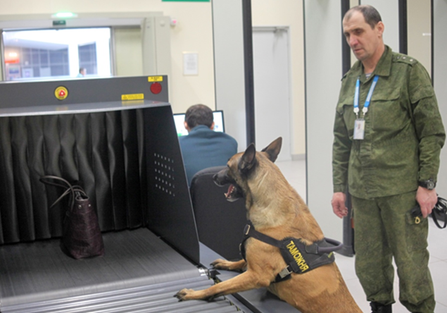 В аэропорту Уфы полицейская собака нашла у пассажира незадекларированную валюту