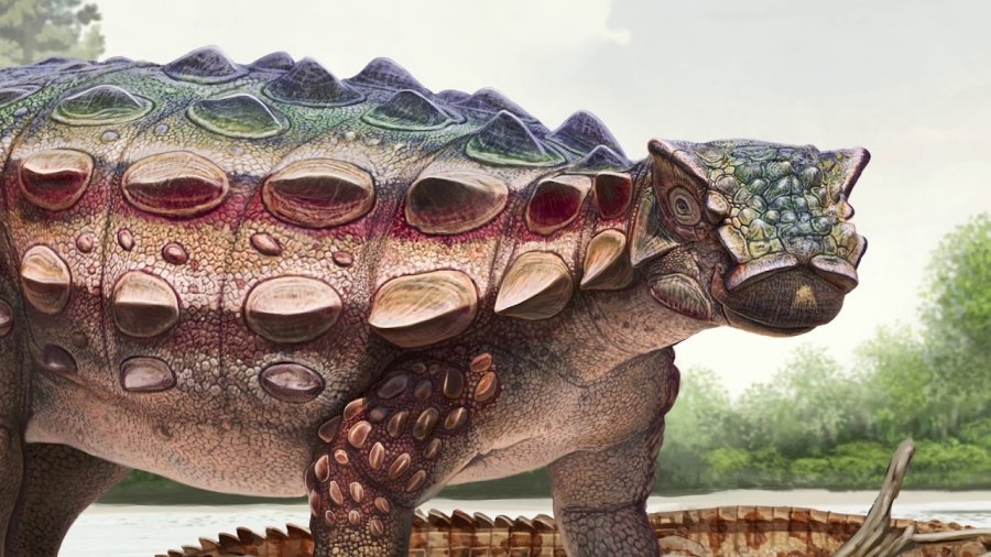 Американские палеонтологи открыли новый вид динозавра