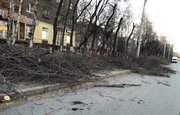 В Башкирии начнут штрафовать за сжигание мусора и листьев в общественных местах