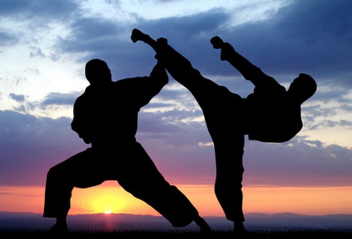 В Уфе пройдет Международный форум боевых искусств