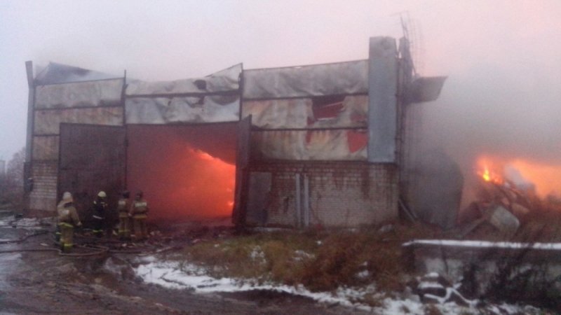 В Башкирии произошёл пожар на складе птицефабрики