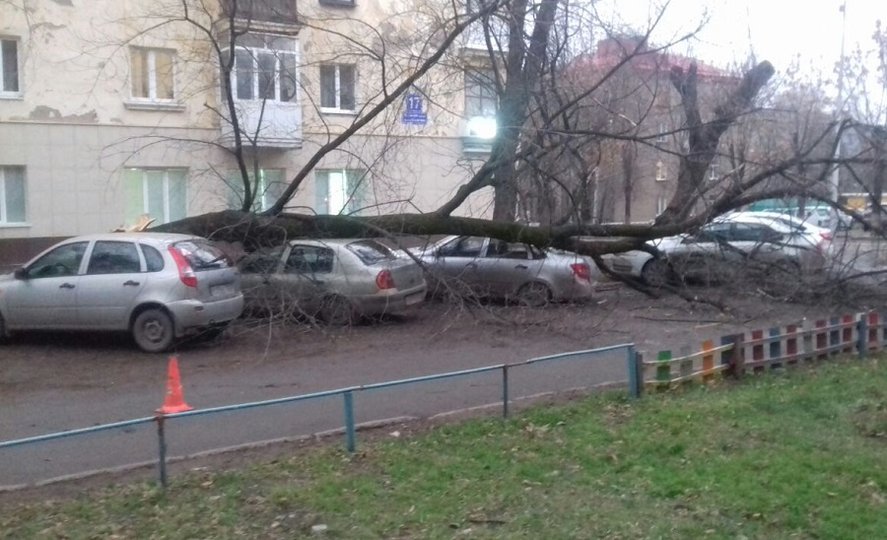 В Уфе дерево упало на припаркованные автомобили