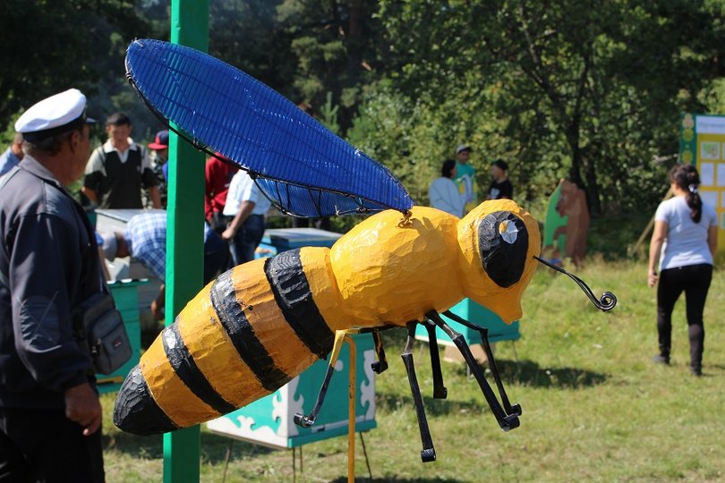 У башкирских пчел может появиться новое место зимовки