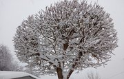 В Башкирии прогнозируют мокрый снег, гололед и сильный туман
