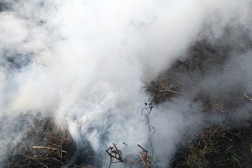 В четырех районах Башкирии прогнозируется четвертый класс пожароопасности