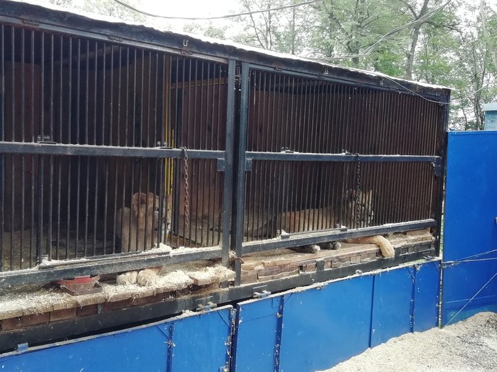 Уфимский зоолунопарк накажут за многочисленные нарушения при обращении с животными