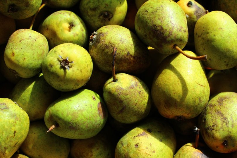 В Башкирии уничтожили более 50 килограммов опасных фруктов