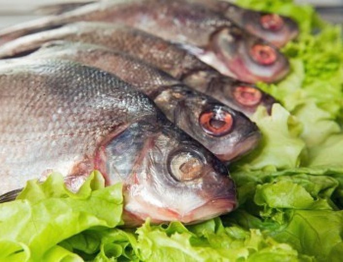 Башкирия хочет «выбить» прямые поставки рыбы в регион