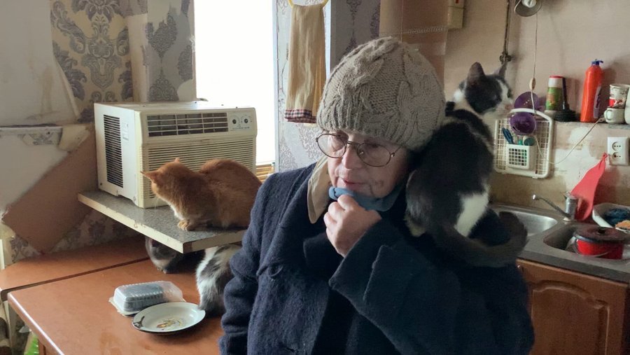 В Башкирии пожилая женщина, приютившая бездомных кошек, живет «в вечной мерзлоте»