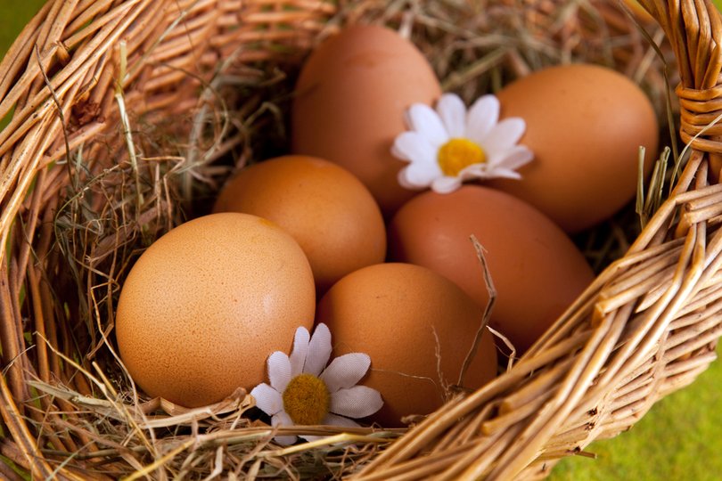 Диетологи назвали безопасно количество яиц, которое можно съесть на Пасху