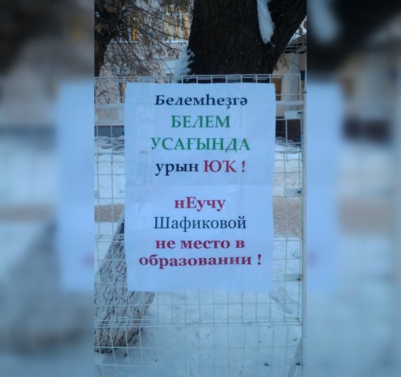 Сотрудники ИРО РБ устроили бунт против назначения ректором бывшего министра образования Гульназ Шафиковой