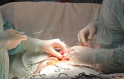 Врачи Республиканской детской клинической больницы в Уфе впервые удалили папиллому молочной железы