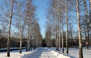 Назван список зимних опасностей – Жителей Башкирии попросили быть осторожнее