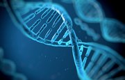 Надежную «ДНК-флешку» смогли создать ученые