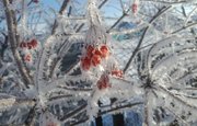 Синоптики прогнозируют снег и морозы в Башкирии