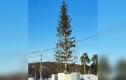 В городе Башкирии вместо ободранной новогодней елки пообещали установить новую