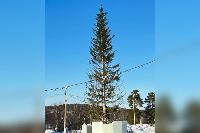 В городе Башкирии вместо ободранной новогодней елки пообещали установить новую