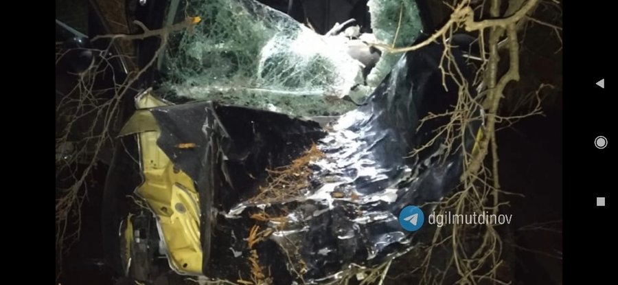 В Башкирии автомобиль сбил лошадь на трассе – Погиб находившийся в салоне ребенок