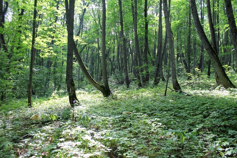 Национальный парк «Башкирия» получит 12,5 млн рублей на развитие экологического туризма