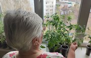 В Башкирии для пенсионеров утвердили список социальных туров на 2022 год