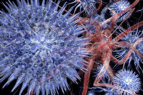 Ученые обнаружили новый вирус, не способный проникать в живые клетки
