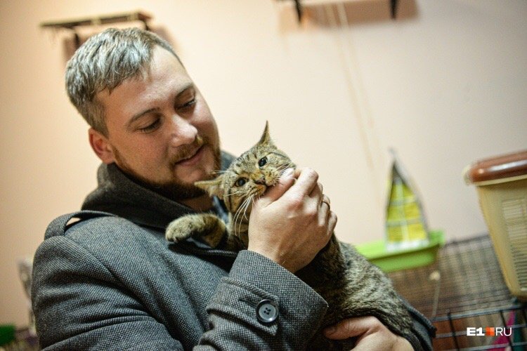 История со счастливым концом: Дальнобойщик из Саратова вернулся в клинику за сбитым котенком, которого спас на трассе в Башкирии