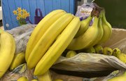 Стоимость бананов в 2021 году достигла пятилетнего максимума