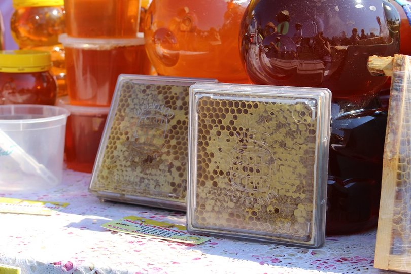 Курултай Башкирии намерен разработать закон для защиты башкирских пчел от китайских пестицидов